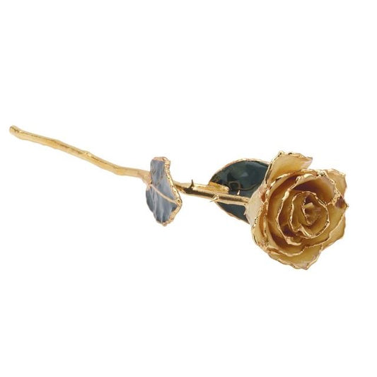 Lacquered White Rose with Gold Trim