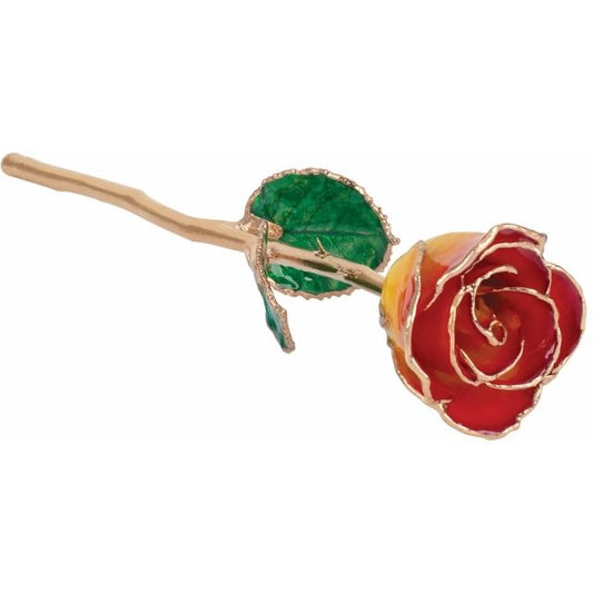 Lacquered Sunset Yellow & Red Rose with Gold Trim