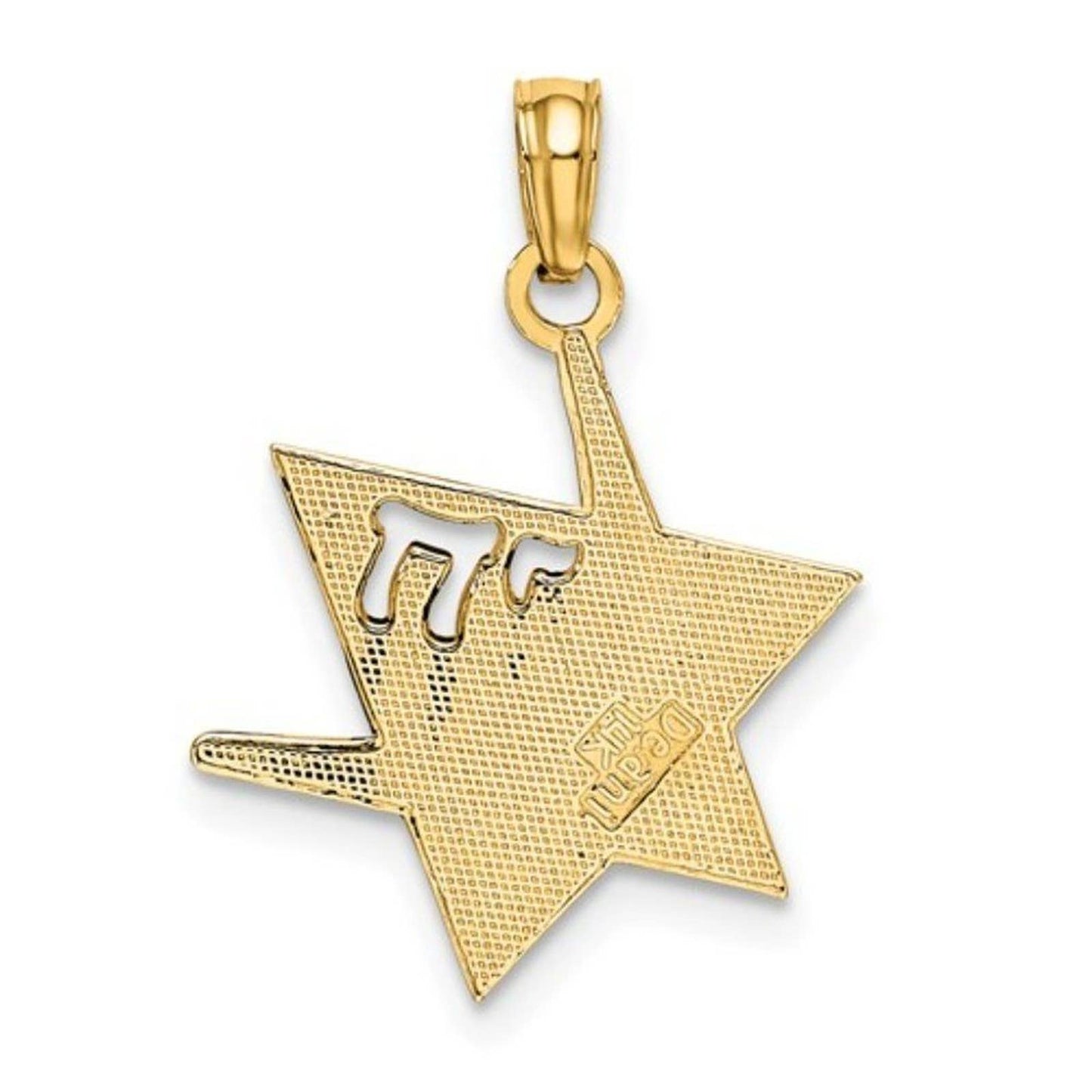 14K Polished Star Of David with Judaica Charm