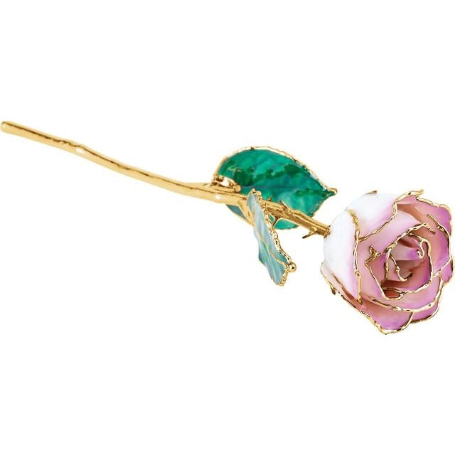 Lacquered Cream Picasso Rose with Gold Trim