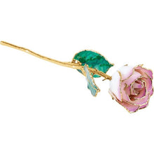Load image into Gallery viewer, Lacquered Cream Picasso Rose with Gold Trim
