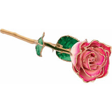 Load image into Gallery viewer, Lacquered Cream Magenta Rose with Gold Trim
