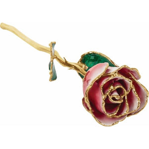 Lacquered Frozen White & Red Rose with Gold Trim