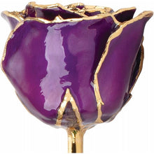 Load image into Gallery viewer, Lacquered Purple Rose with Gold Trim
