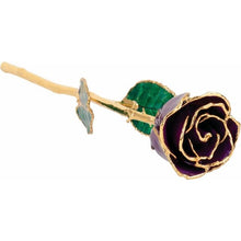 Load image into Gallery viewer, Lacquered Purple Rose with Gold Trim
