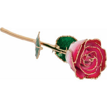 Load image into Gallery viewer, Lacquered Cream Red Rose with Gold Trim
