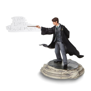 Wizarding World of Harry Potter Tom Riddle Figure