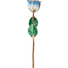 Load image into Gallery viewer, Lacquered Cream Blue Rose with Gold Trim
