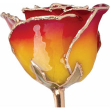 Load image into Gallery viewer, Lacquered Sunset Yellow &amp; Red Rose with Gold Trim
