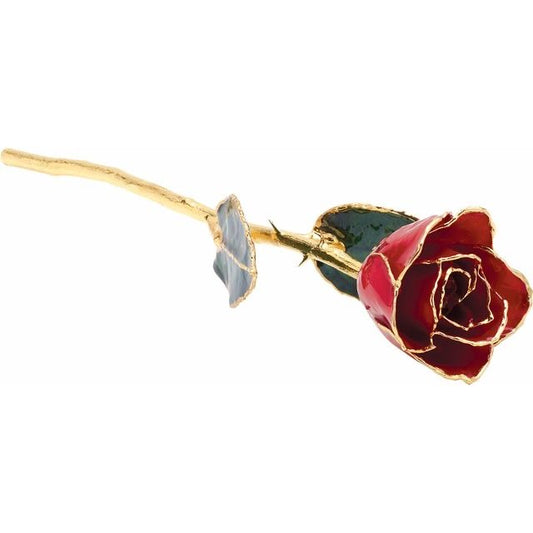 Lacquered Red Rose with Gold Trim