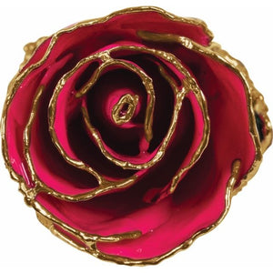 Lacquered Magenta Rose with Gold Trim