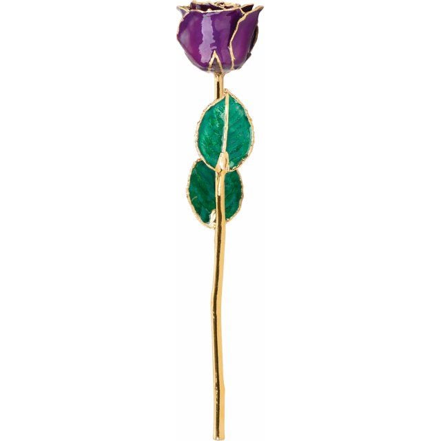 Lacquered Purple Rose with Gold Trim